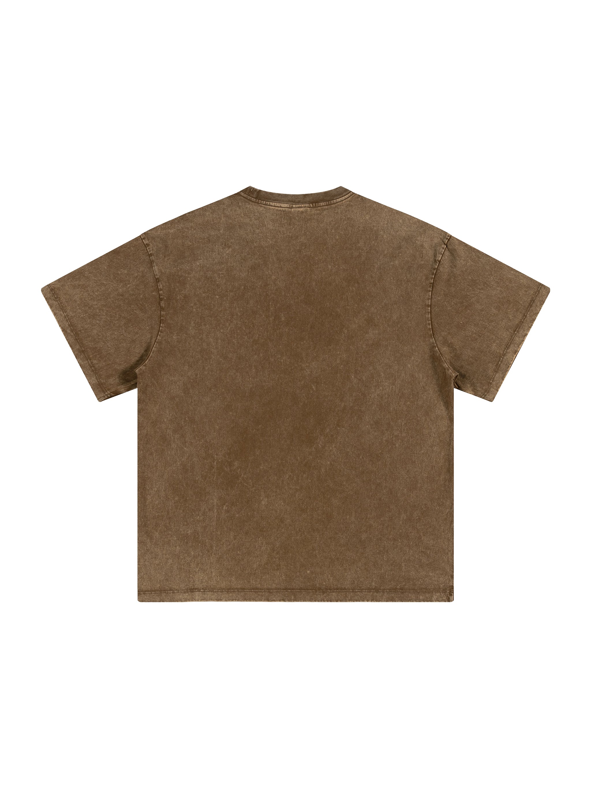 BLANKZ Snow Wash Cotton Tee — Coffee, back view