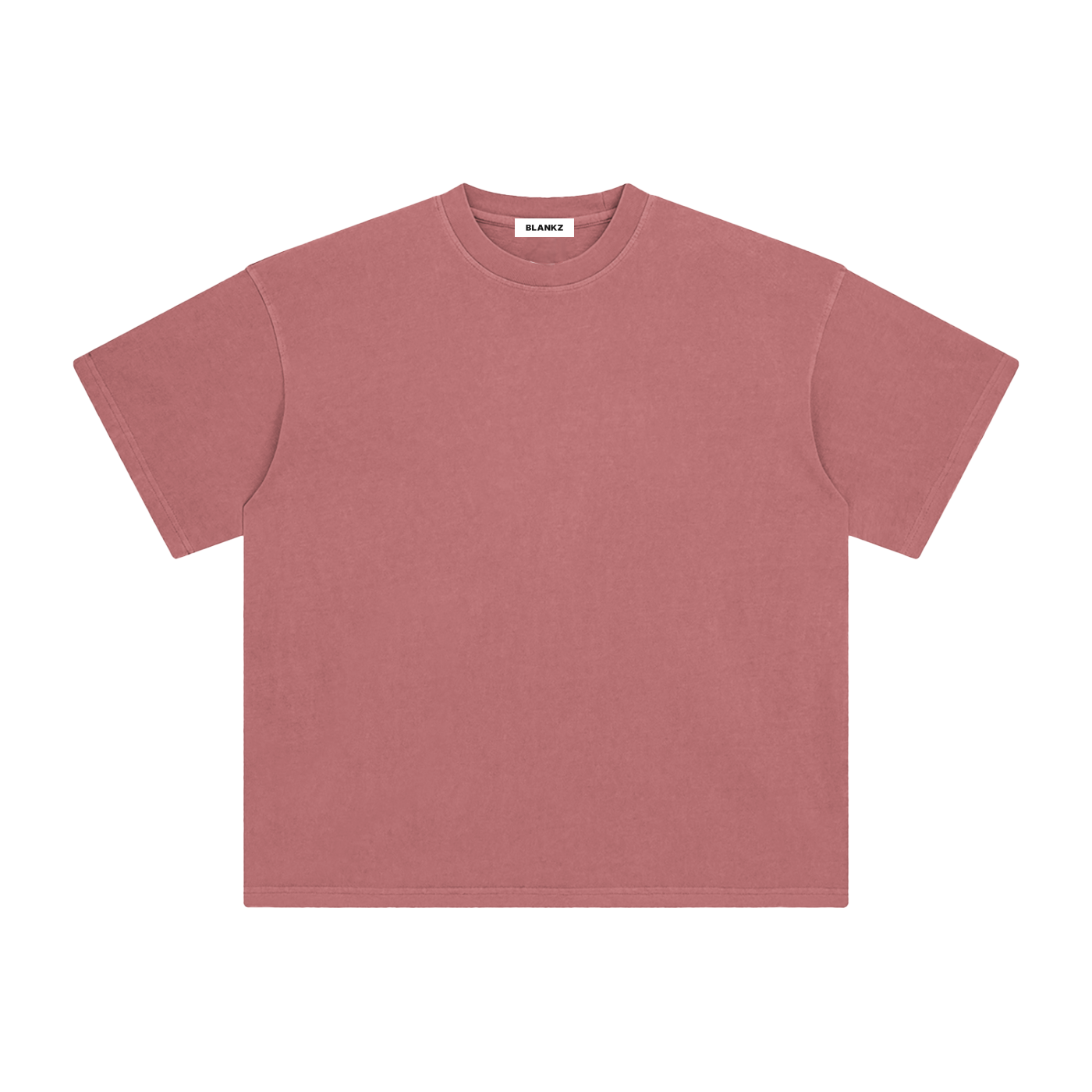 BLANKZ Enzyme-Washed Tee — Brick Red, front view