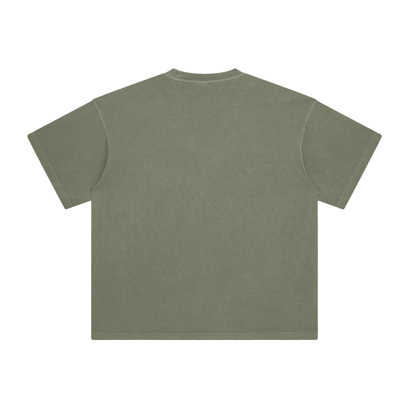 BLANKZ Enzyme-Washed Tee — Gray Green, back view