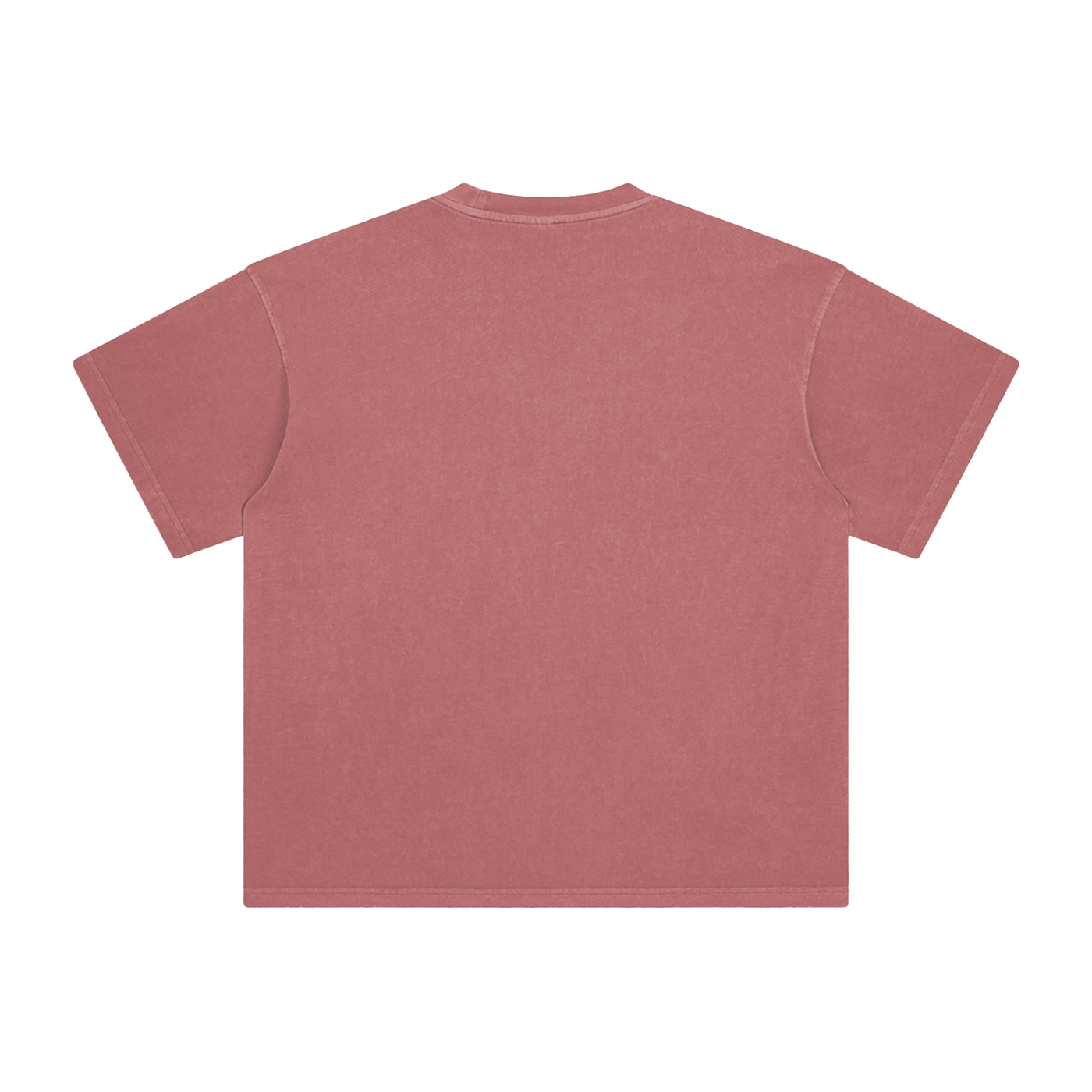 BLANKZ Enzyme-Washed Tee — Brick Red, back view