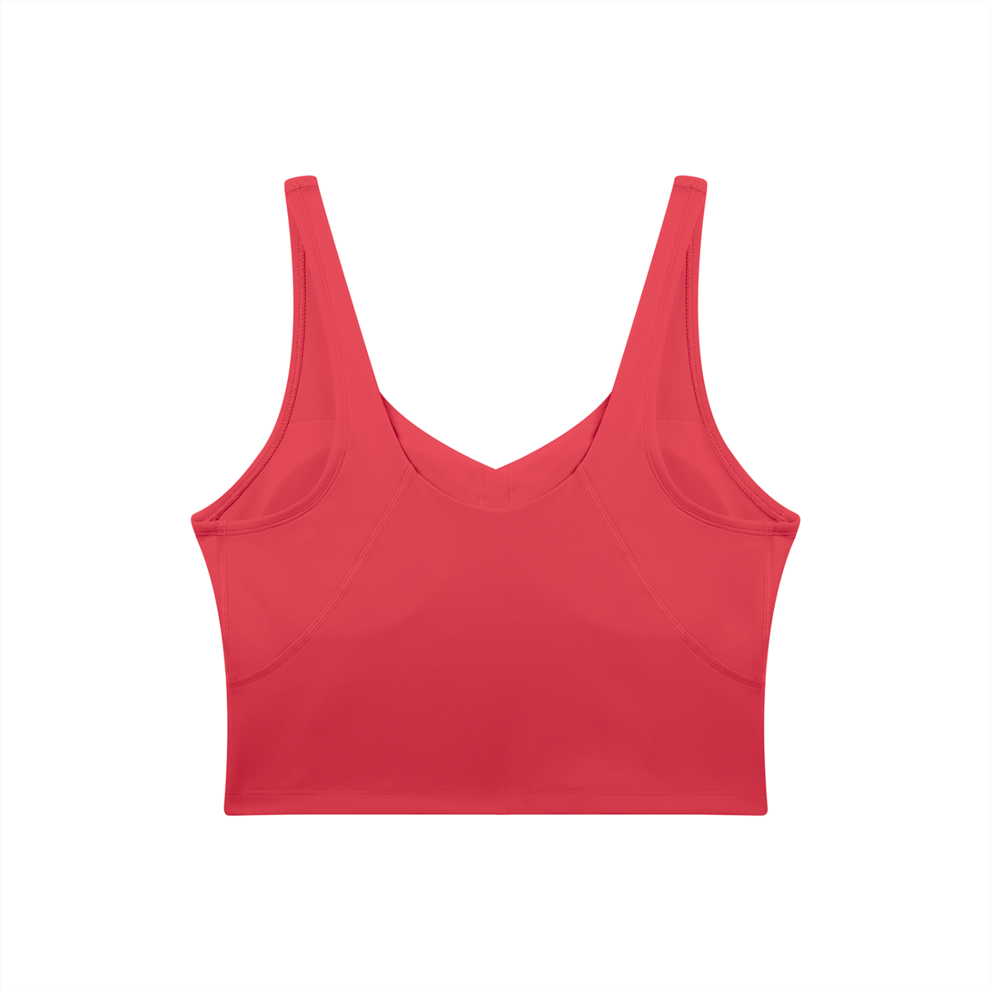 BLANKZ V-Neck Yoga Sports Bra — Brick Red, back view