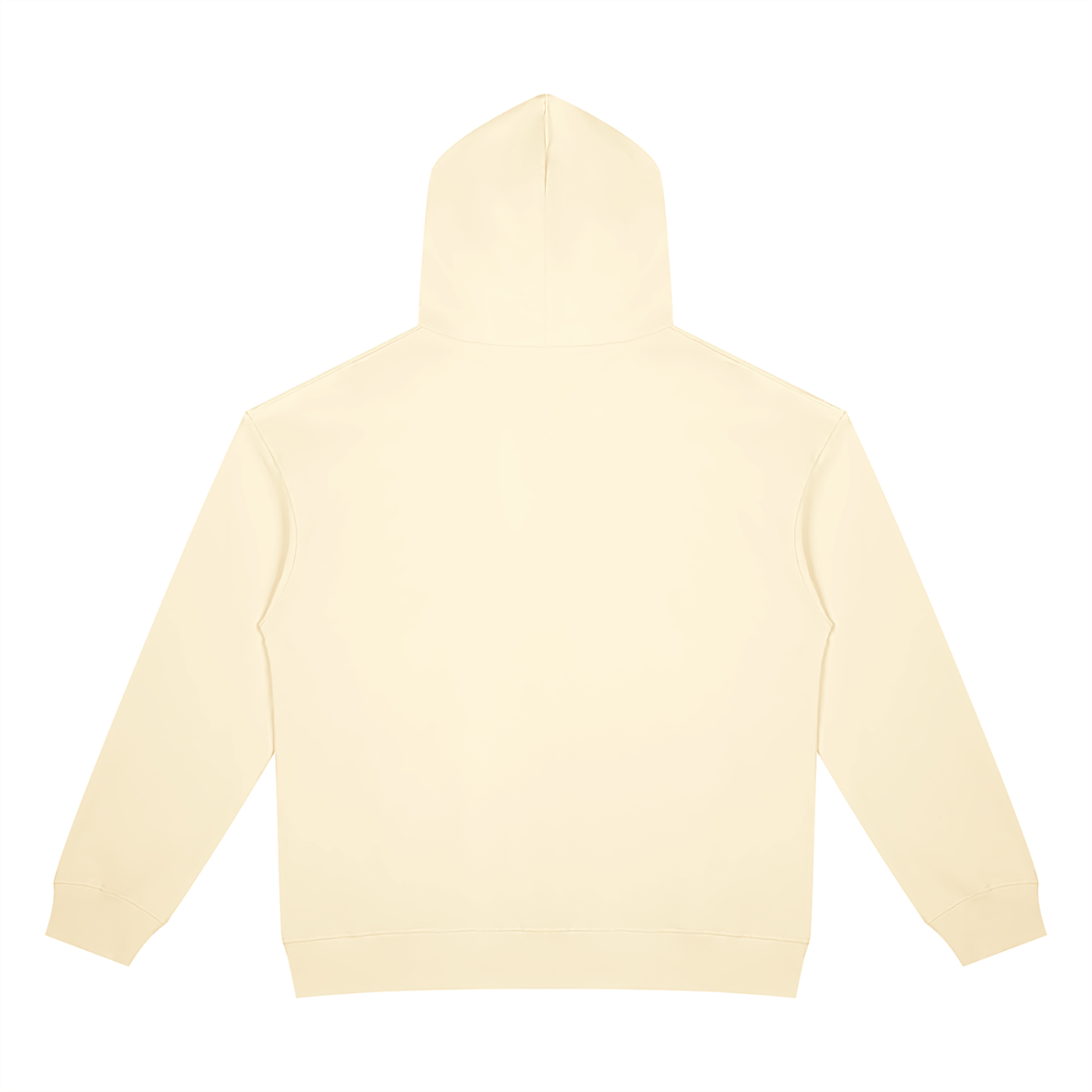 BLANKZ Heavyweight Zip Hoodie 420 — Apricot, back view