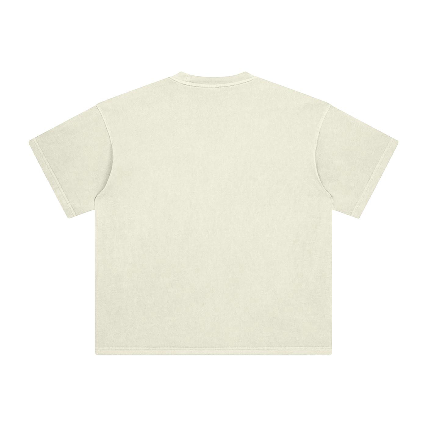BLANKZ Enzyme-Washed Tee — Apricot, back view