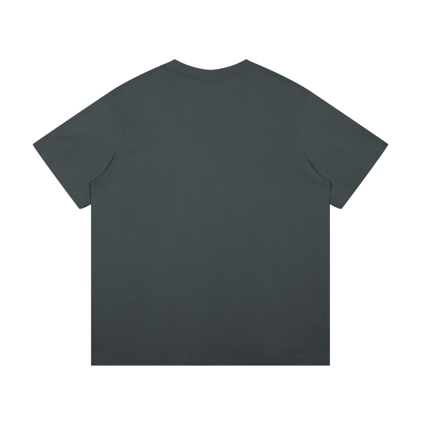 BLANKZ Midweight Cotton Tee — Dark Gray, back view