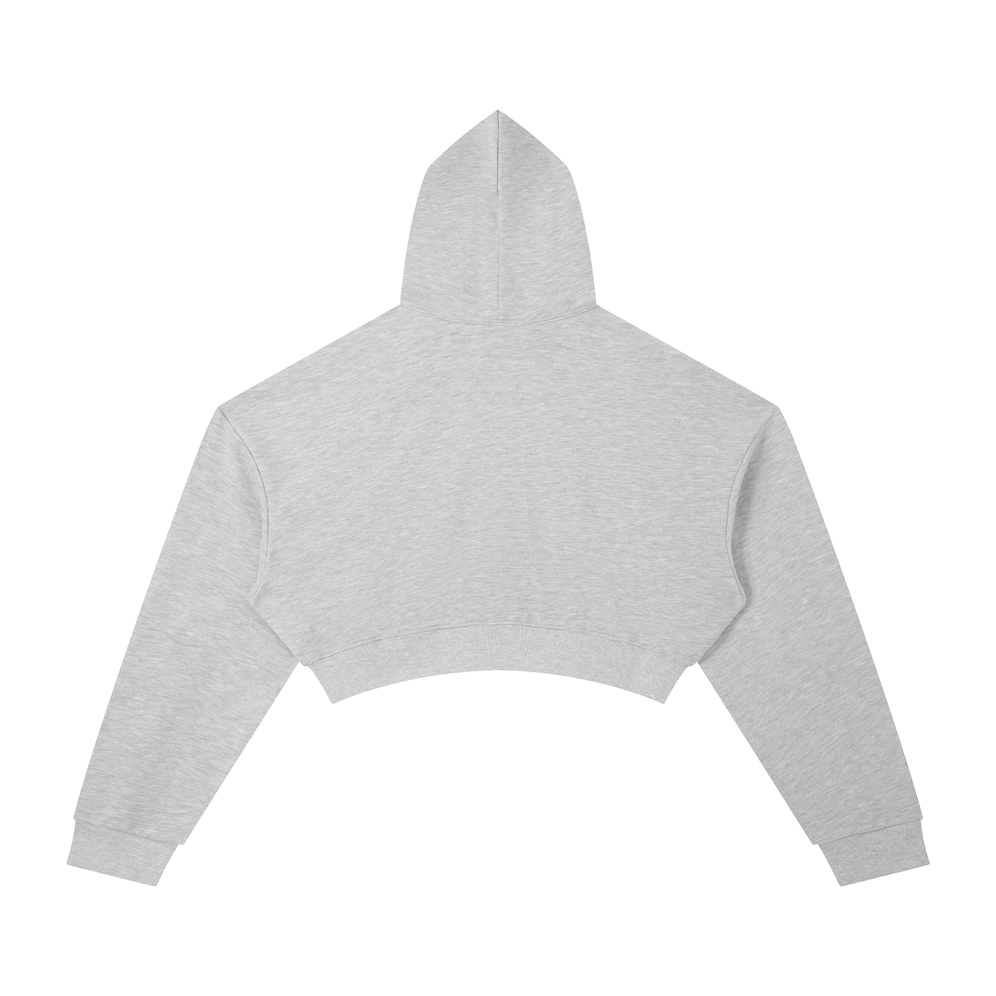 BLANKZ Essential Cropped Hoodie · 310 GSM — Flower Gray, back view