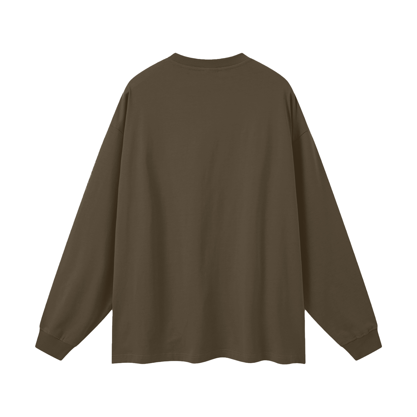 BLANKZ Oversized Long Sleeve 305 — Brown — back view
