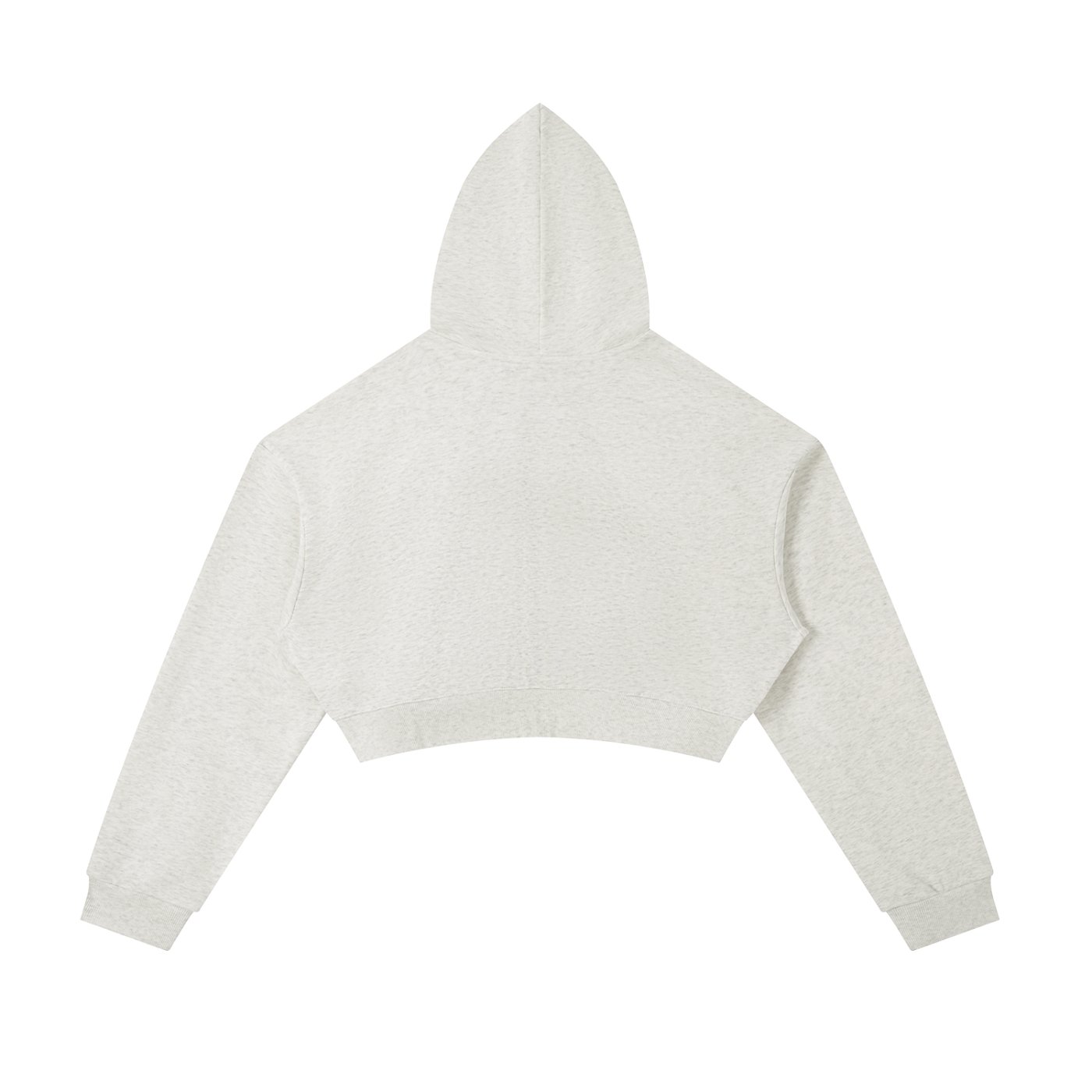 BLANKZ Essential Cropped Zip-Up Hoodie — Oat Gray, back view