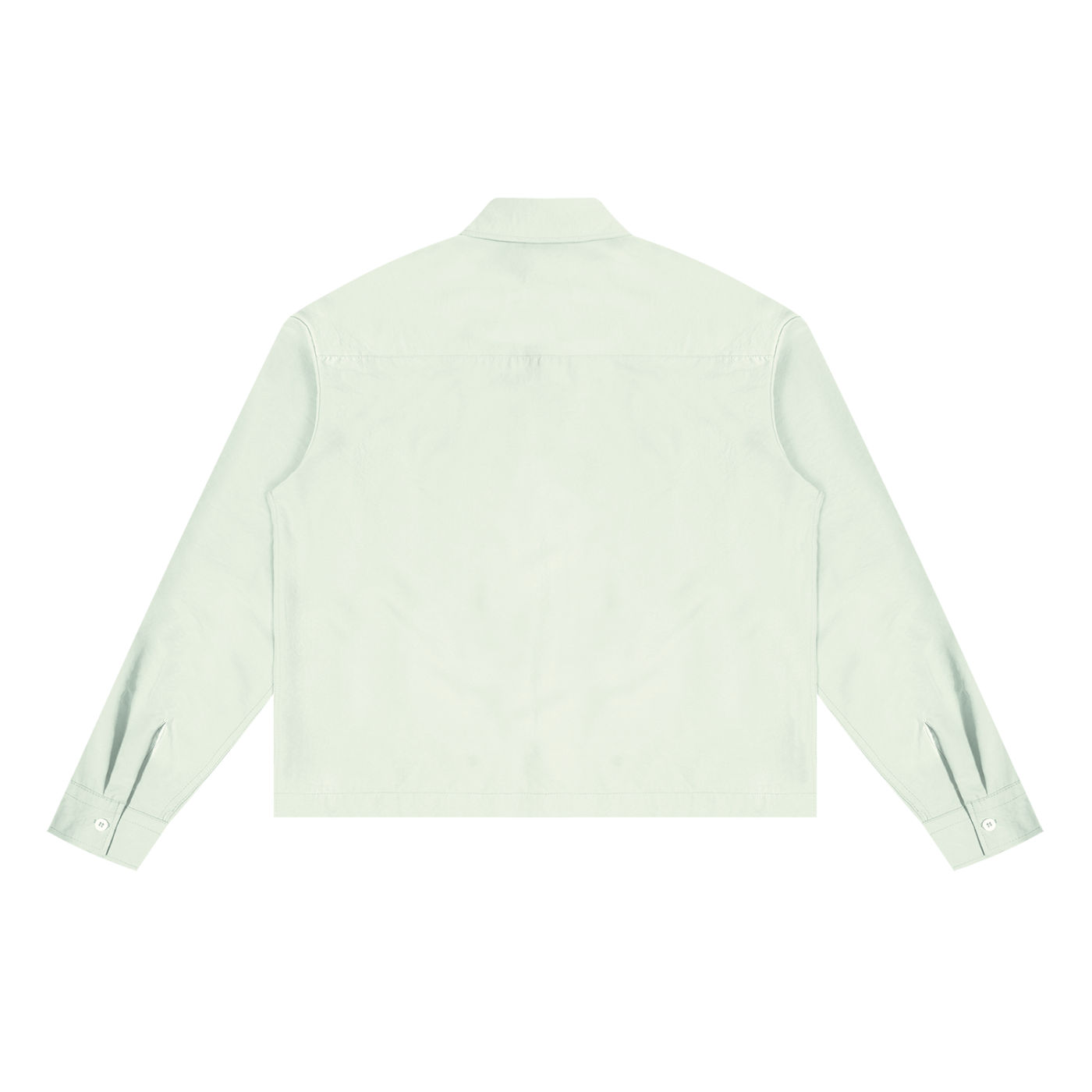 BLANKZ Light Long-Sleeve Shirt — Light Green, back view