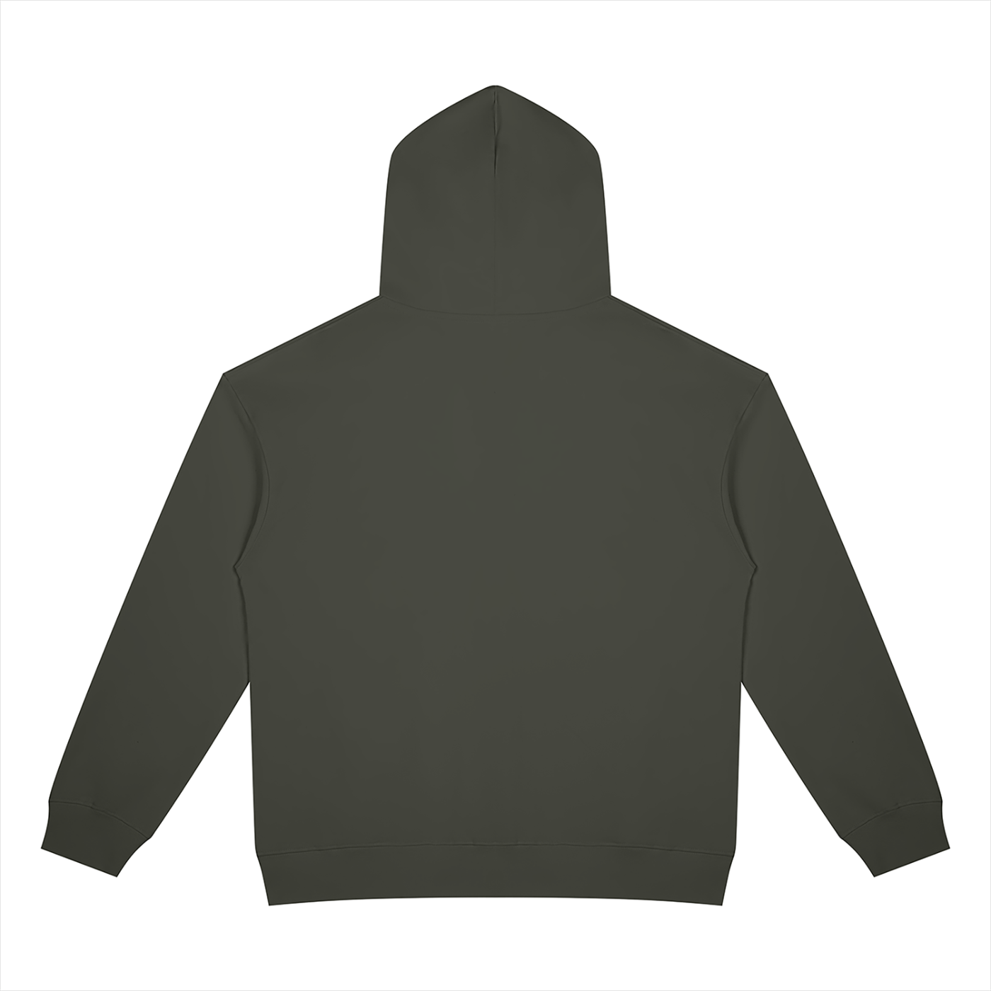 BLANKZ Heavyweight Zip Hoodie 420 — Dark Gray, back view