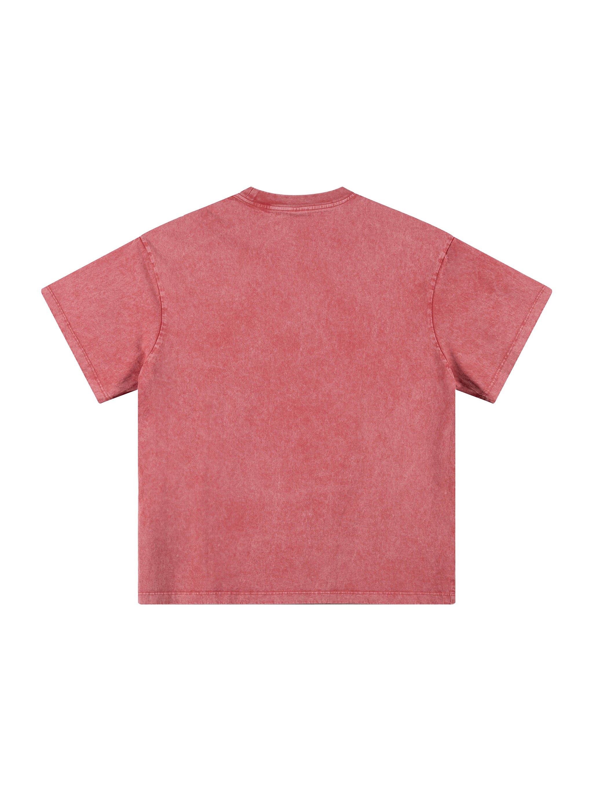 BLANKZ Snow Wash Cotton Tee — Cherry Color, back view