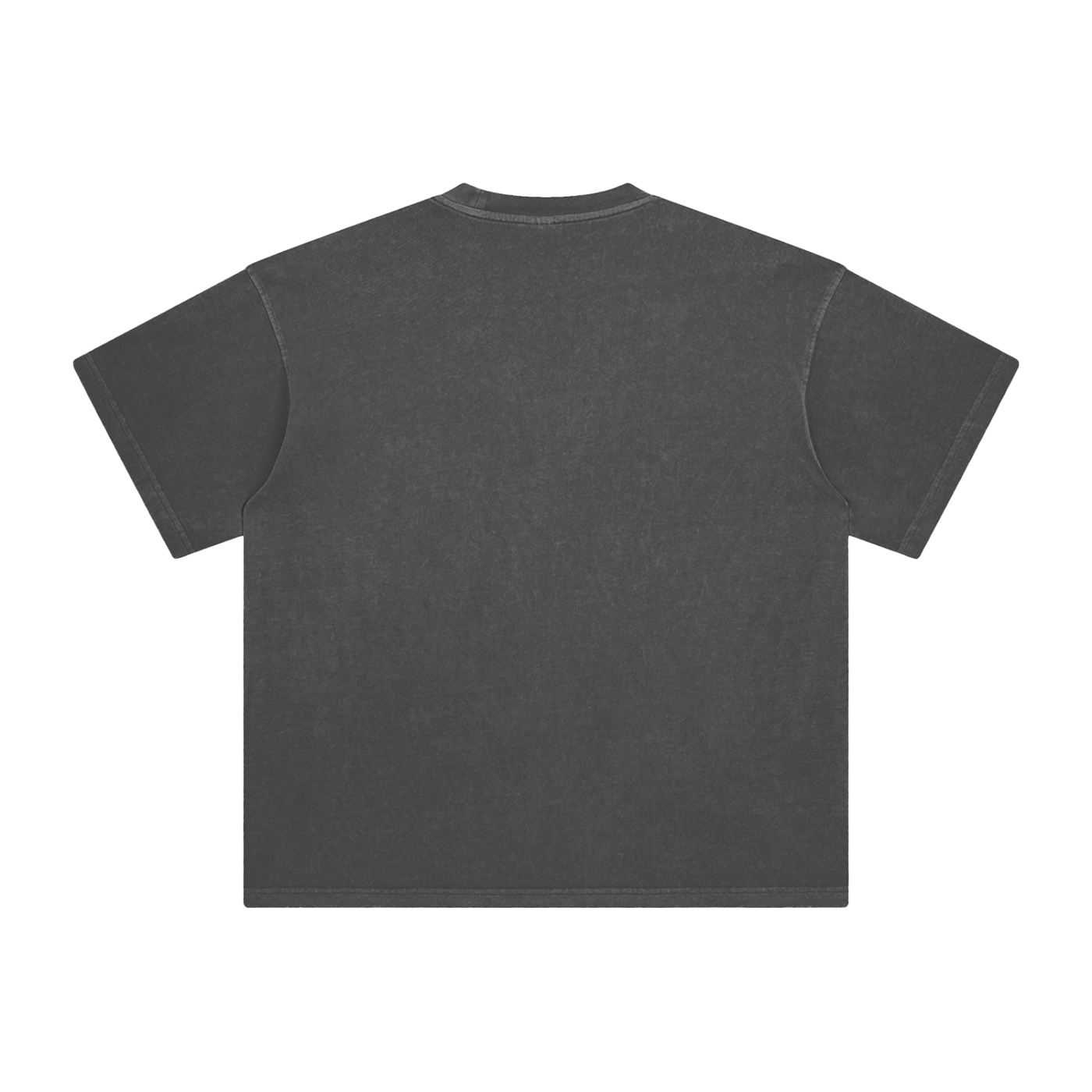BLANKZ Enzyme-Washed Tee — Dark Gray, back view