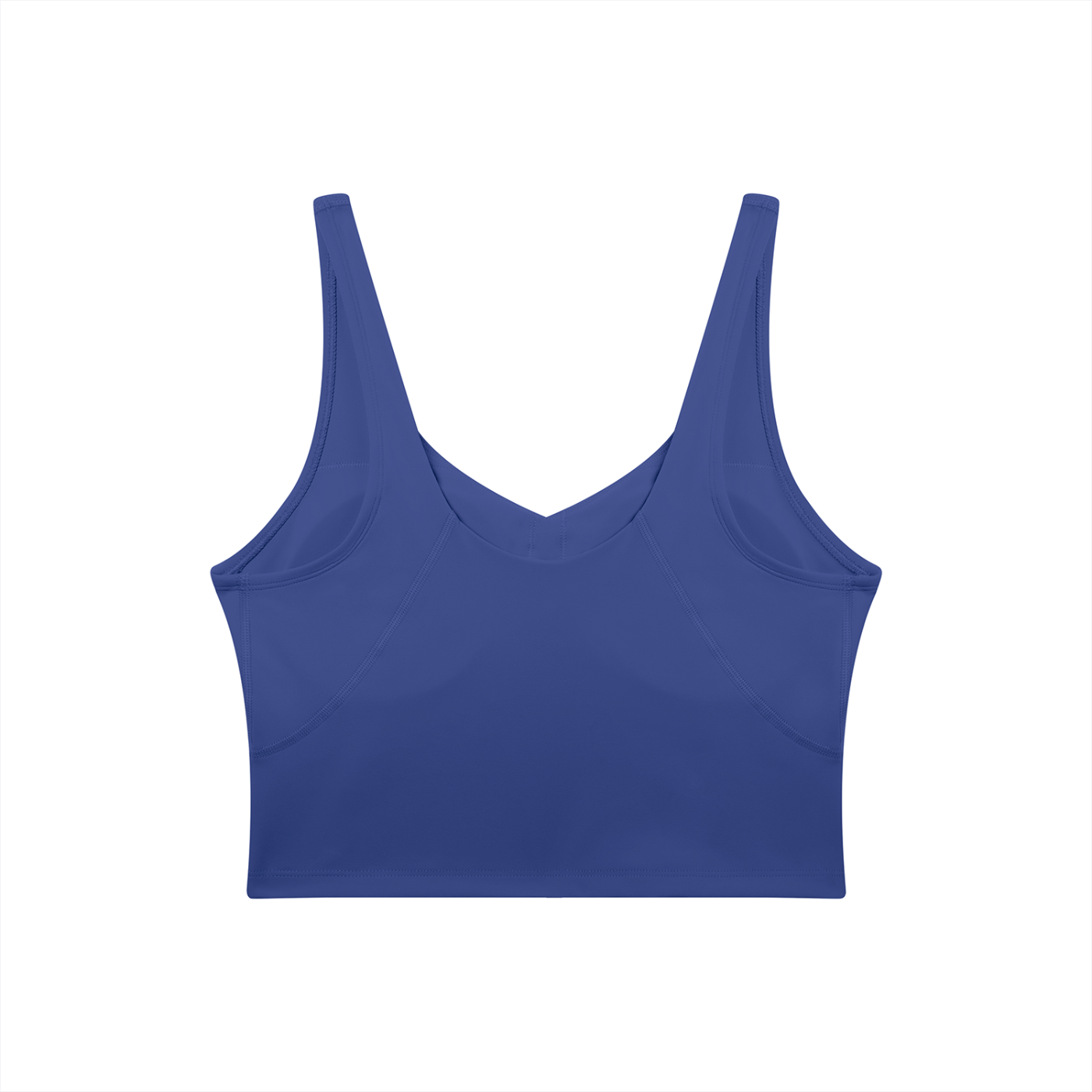 BLANKZ V-Neck Yoga Sports Bra — Royal Blue, back view