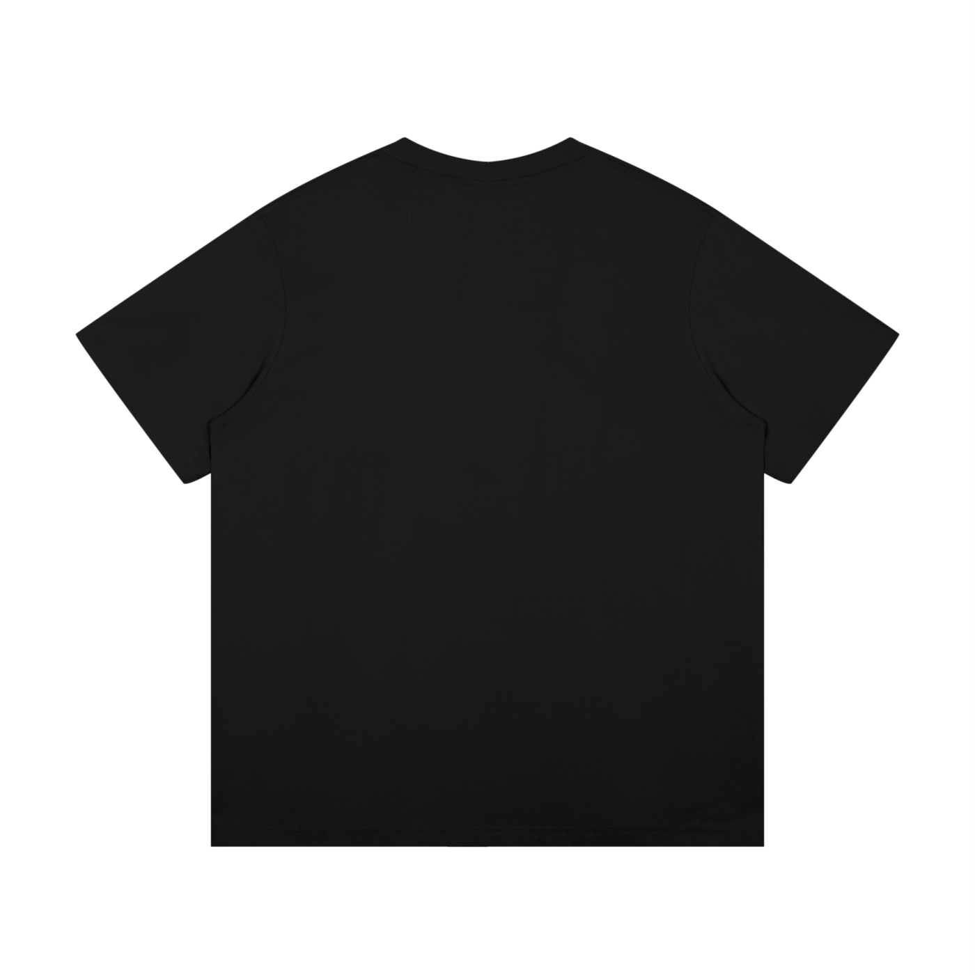 BLANKZ Midweight Cotton Tee — Black, back view