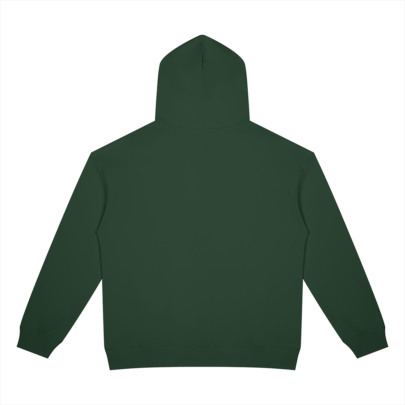 BLANKZ Heavyweight Zip Hoodie 420 — Blackish Green, back view