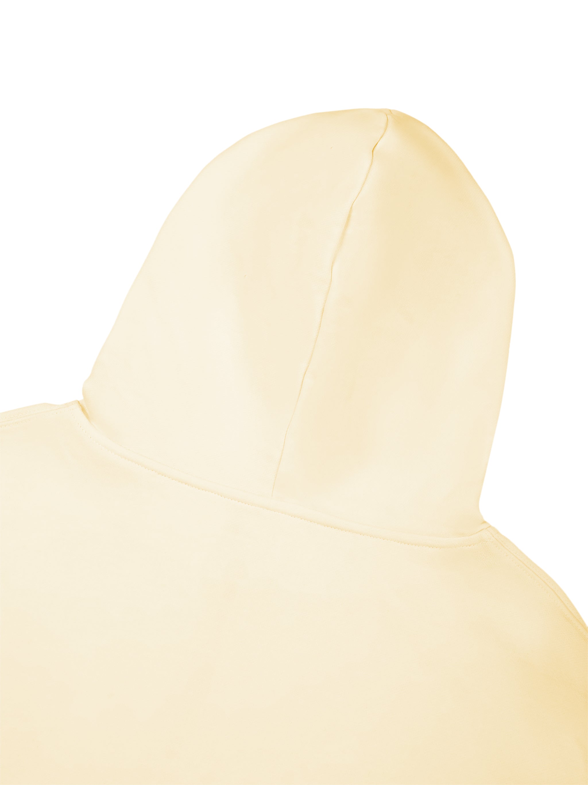 BLANKZ Heavyweight Zip Hoodie 420 — Back of hood
