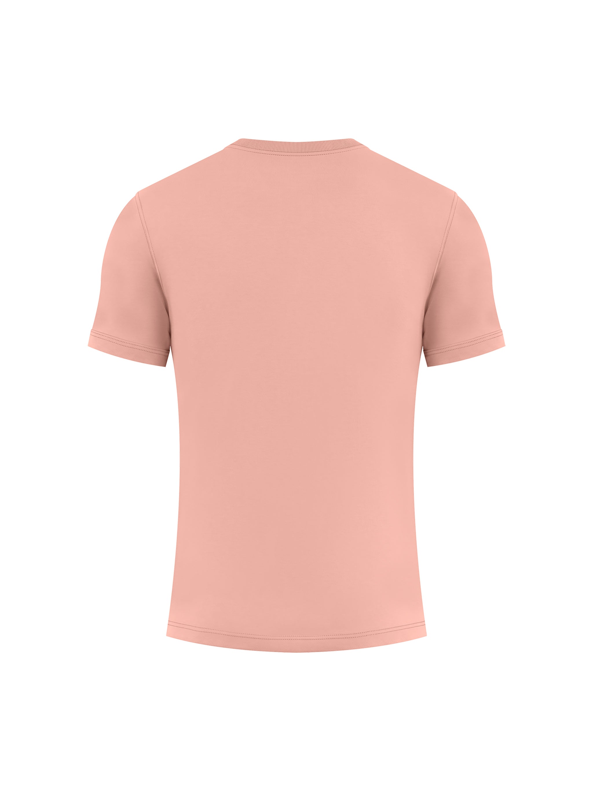 BLANKZ Heavy Slim Tee — Pink, back view