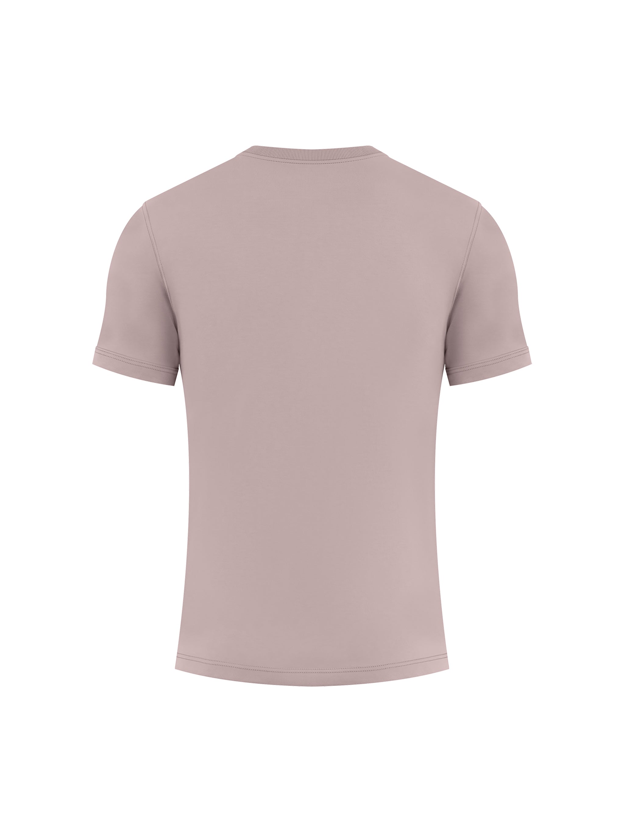 BLANKZ Heavy Slim Tee — Plum Purple, back view