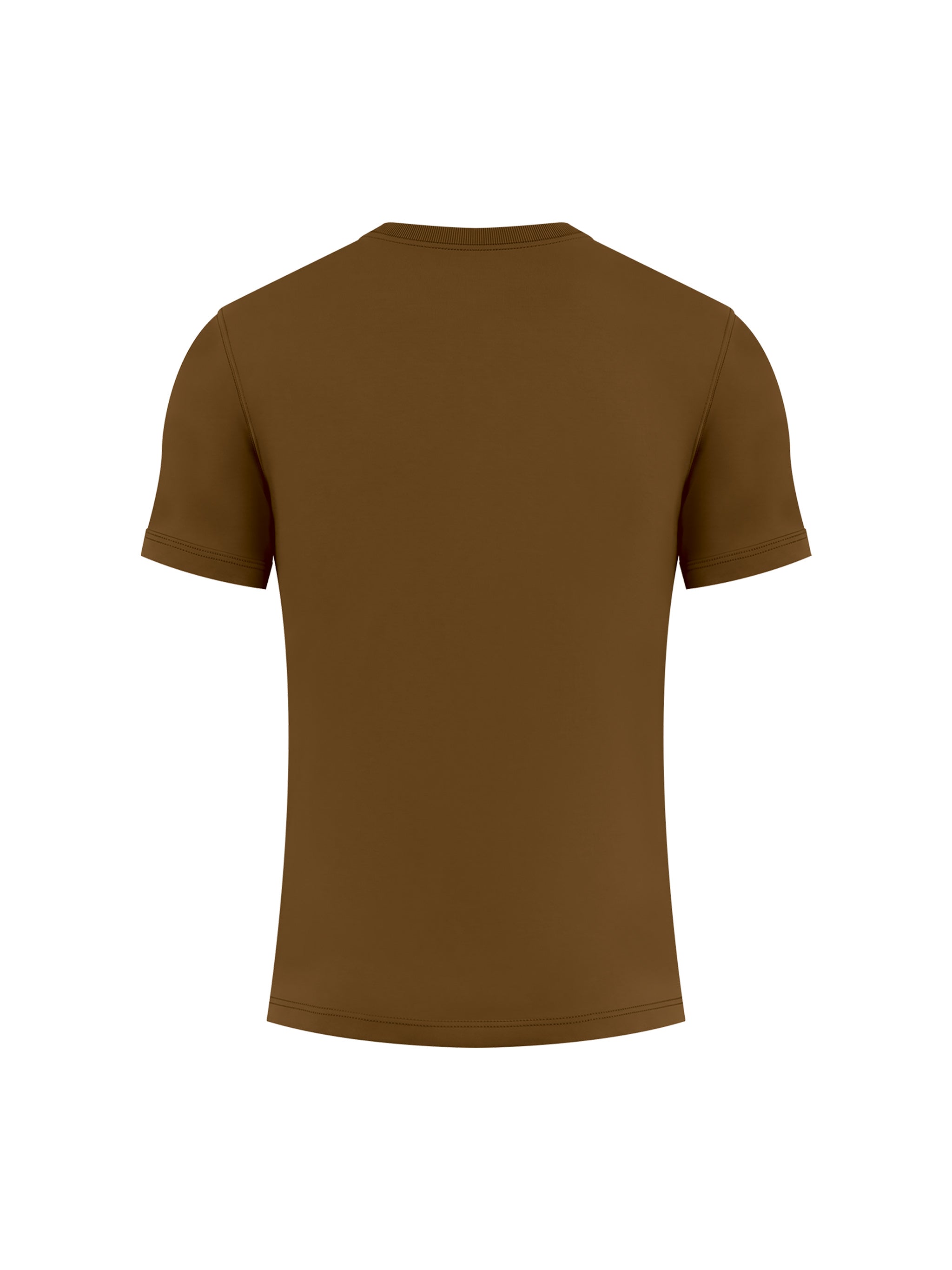 BLANKZ Heavy Slim Tee — Coffee, back view