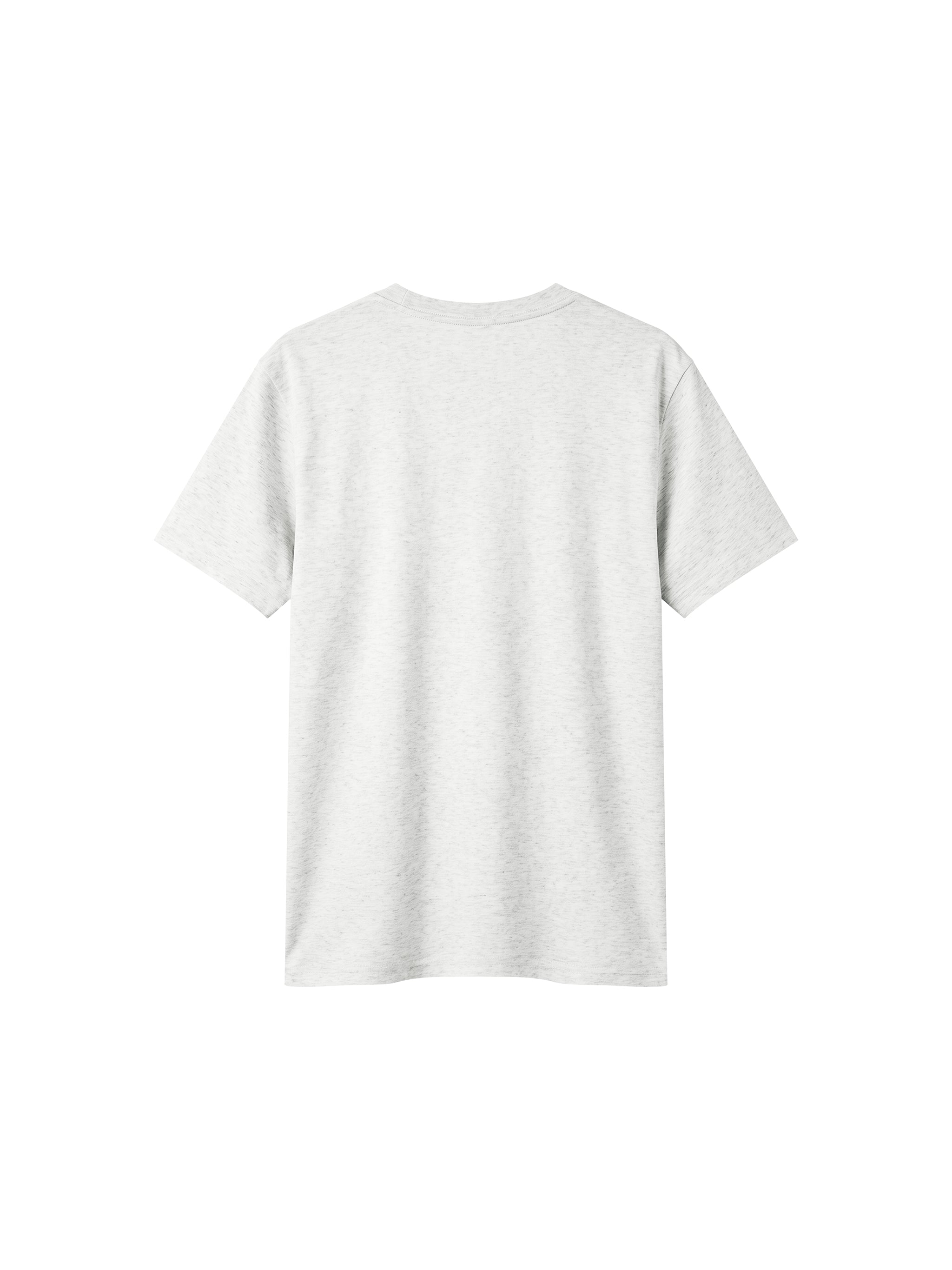 BLANKZ Sorona Crew Tee — Flower Gray, back view