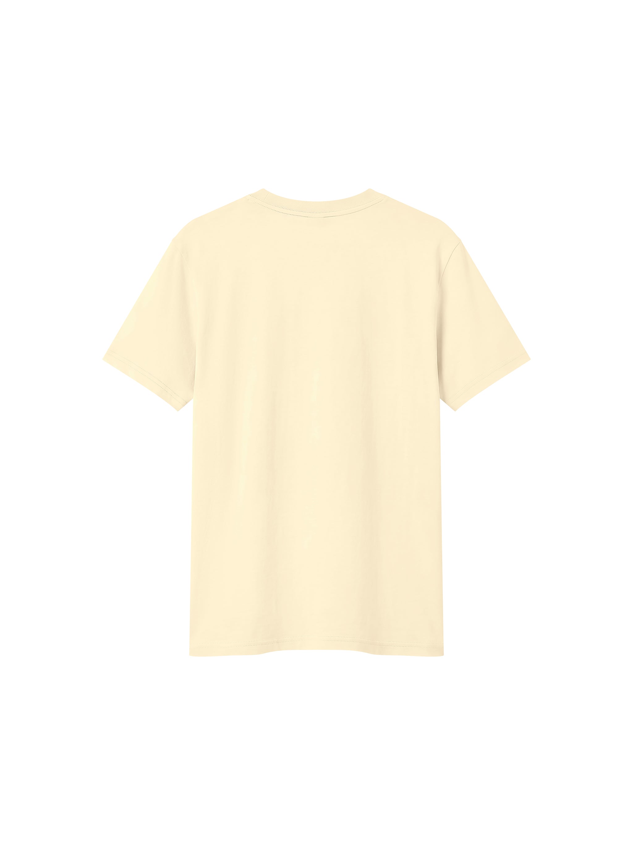 BLANKZ Sorona Crew Tee — Apricot, back view