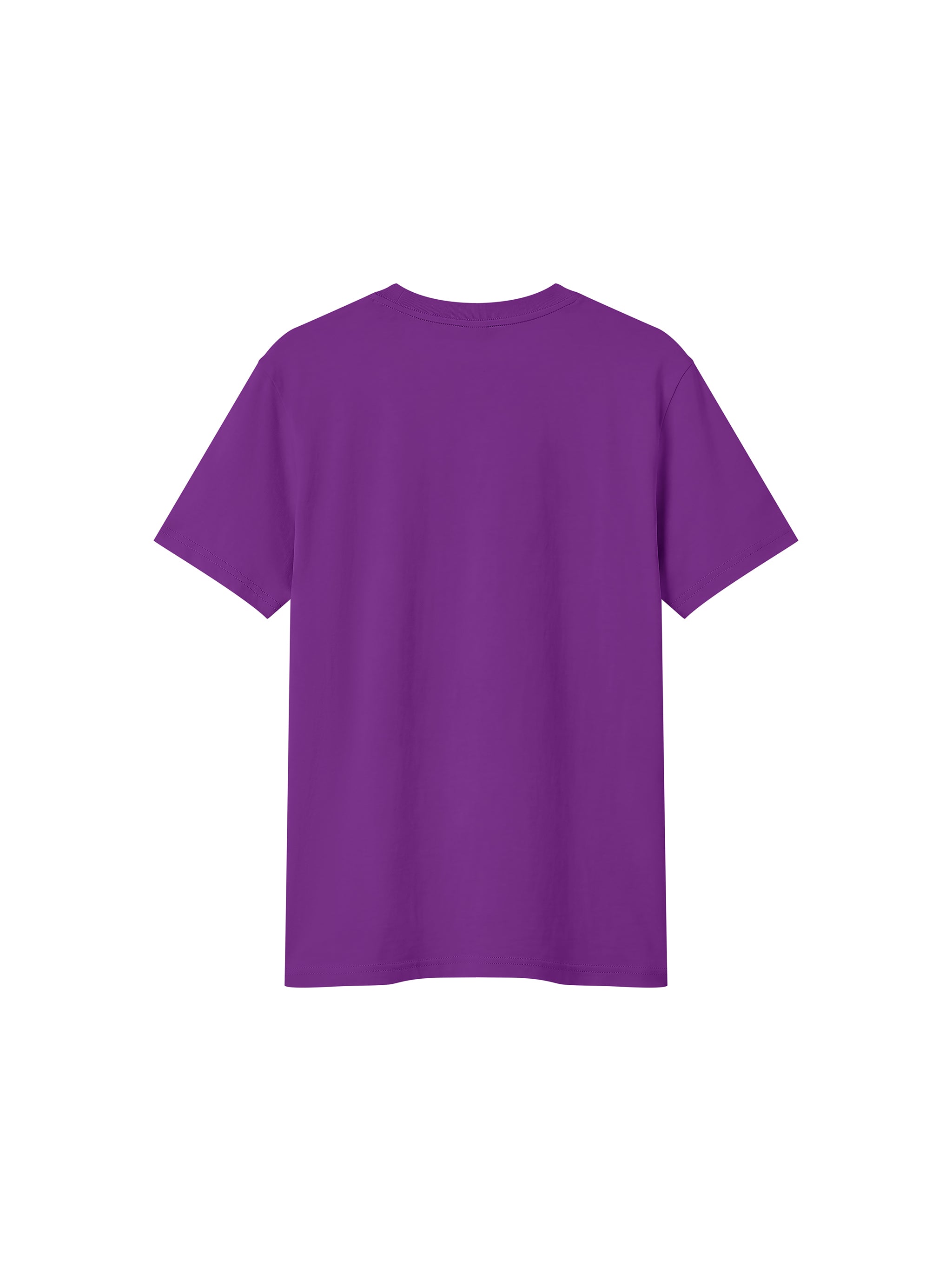 BLANKZ Sorona Crew Tee — Purple, back view