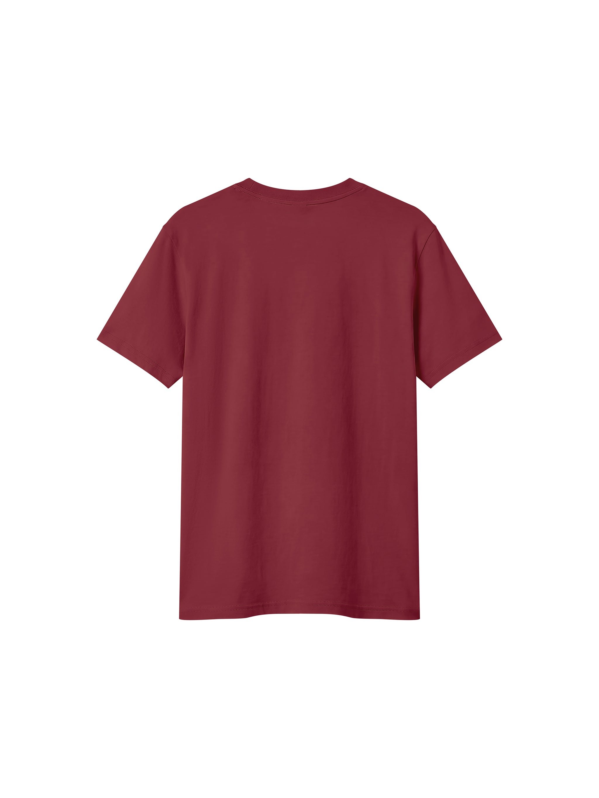 BLANKZ Sorona Crew Tee — Wine Red, back view