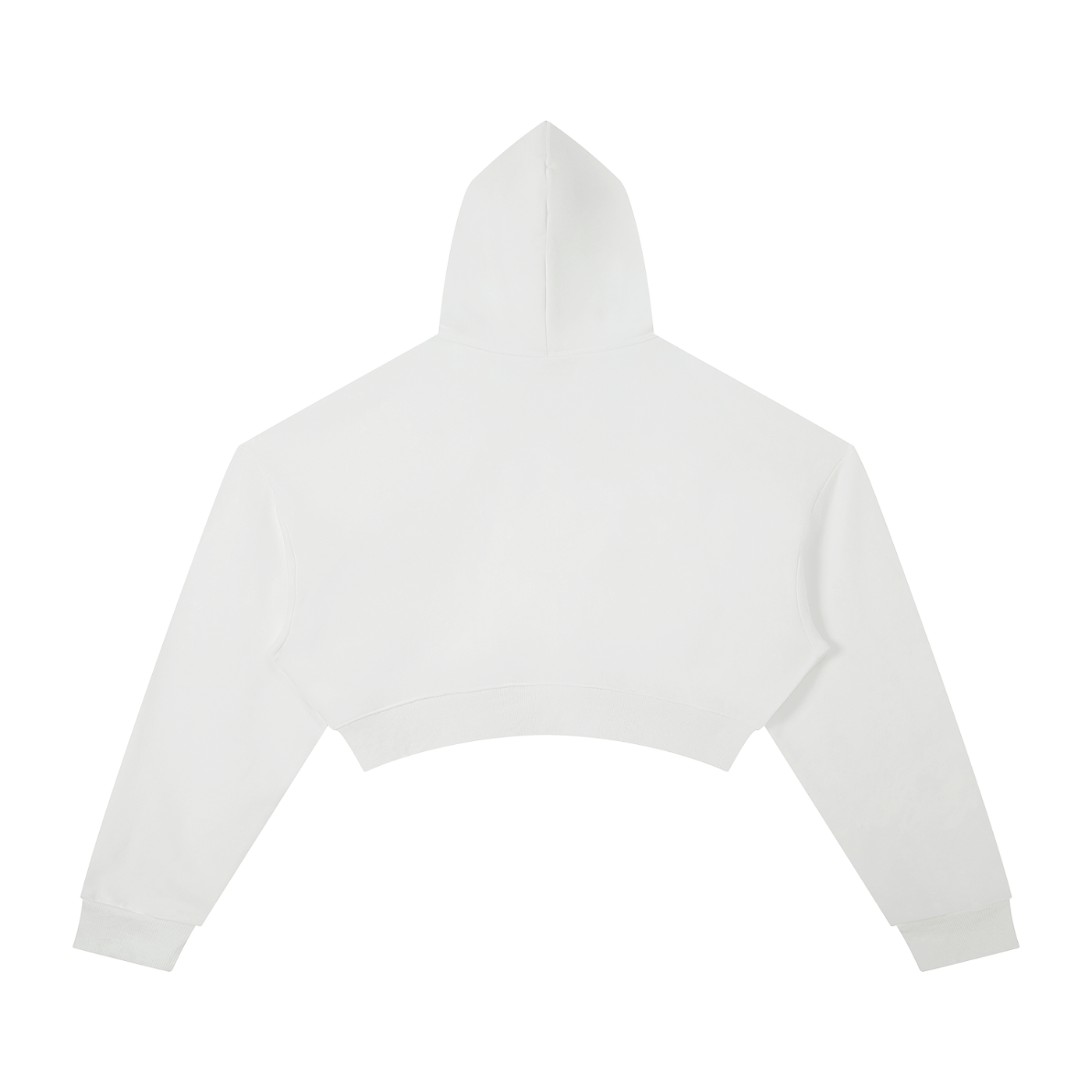 BLANKZ Essential Cropped Hoodie · 310 GSM — White, back view