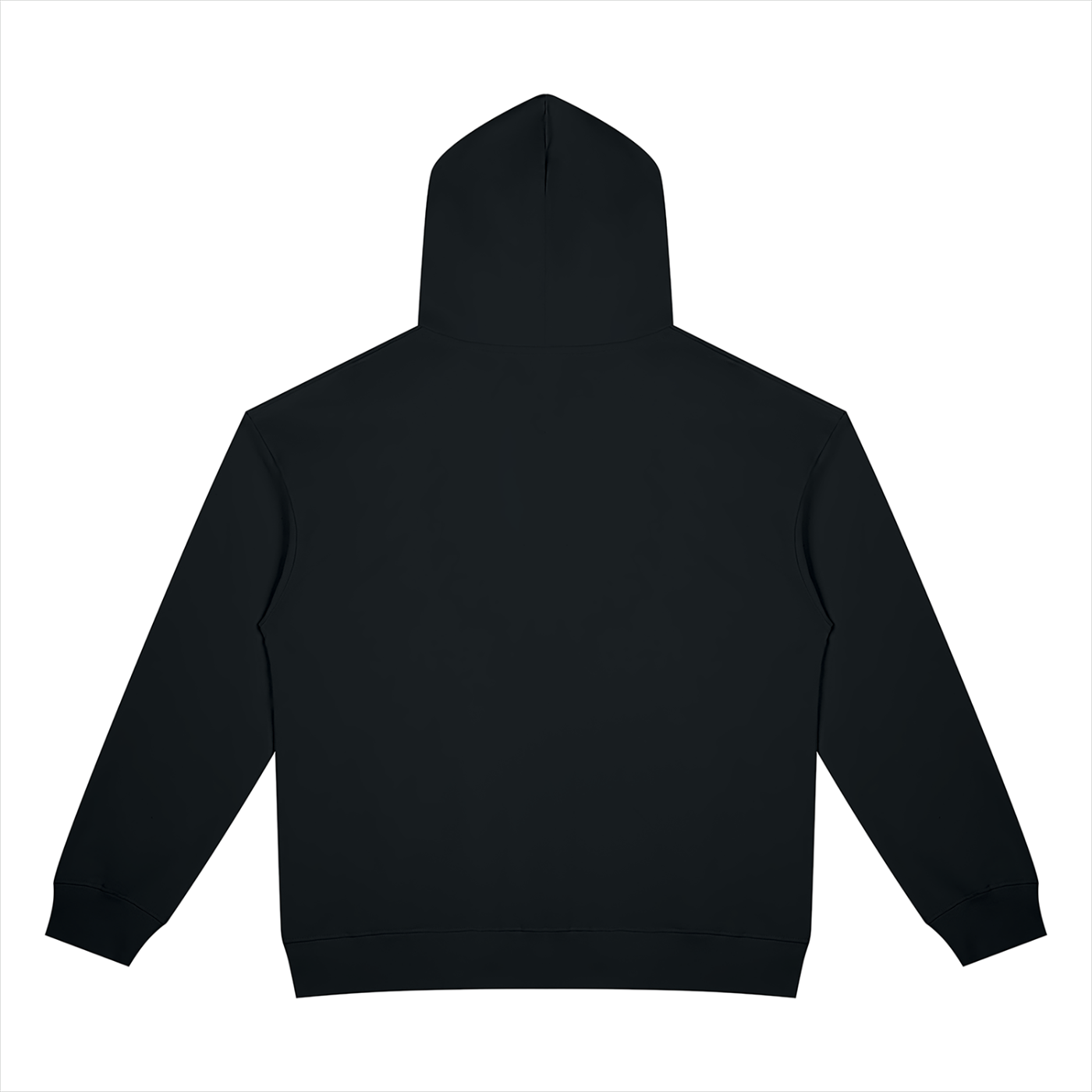 BLANKZ Heavyweight Zip Hoodie 420 — Black, back view
