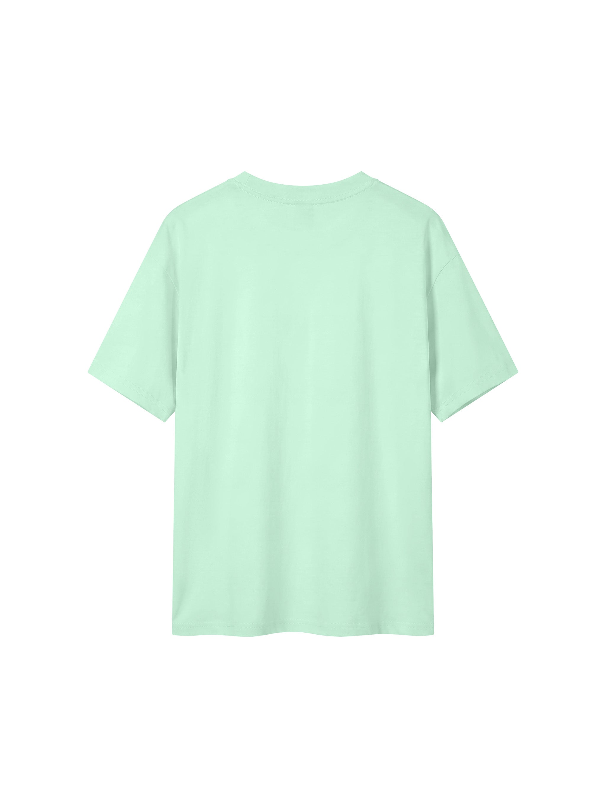 BLANKZ Everyday Cotton Tee — Mint Green, back view