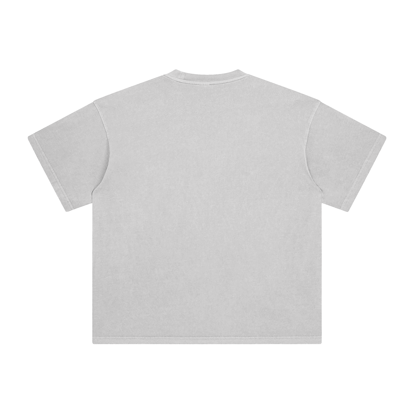 BLANKZ Enzyme-Washed Tee — Medium Ash, back view