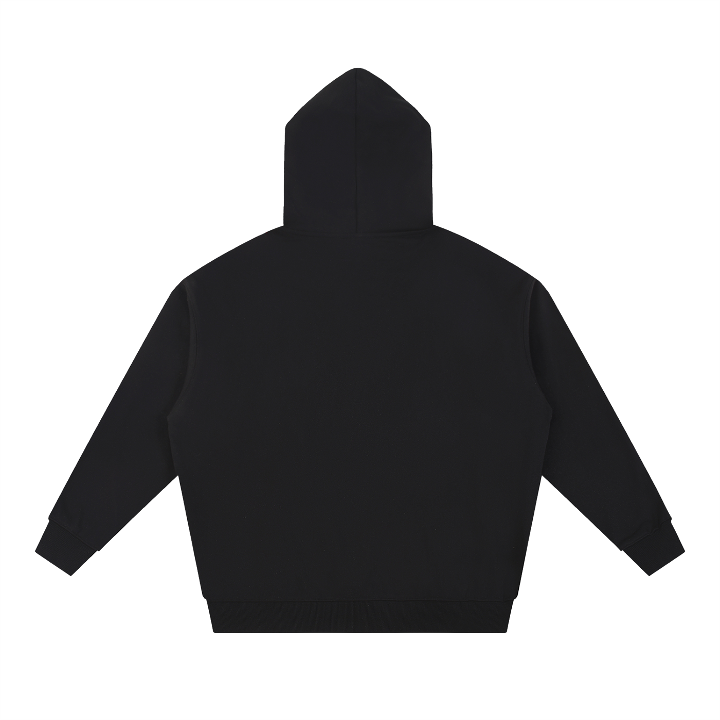 BLANKZ Essential Heavyweight Hoodie — Black, back view