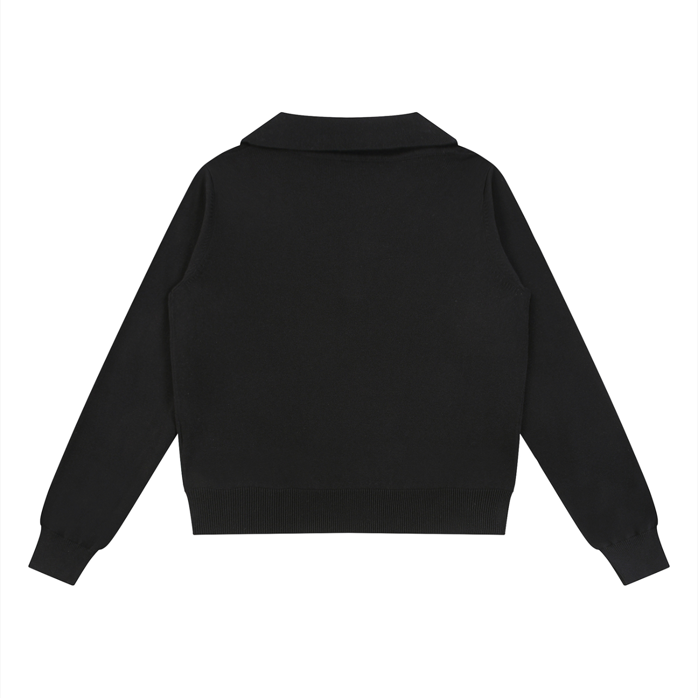 BLANKZ Collared Pullover Knit Sweater — Black, back view