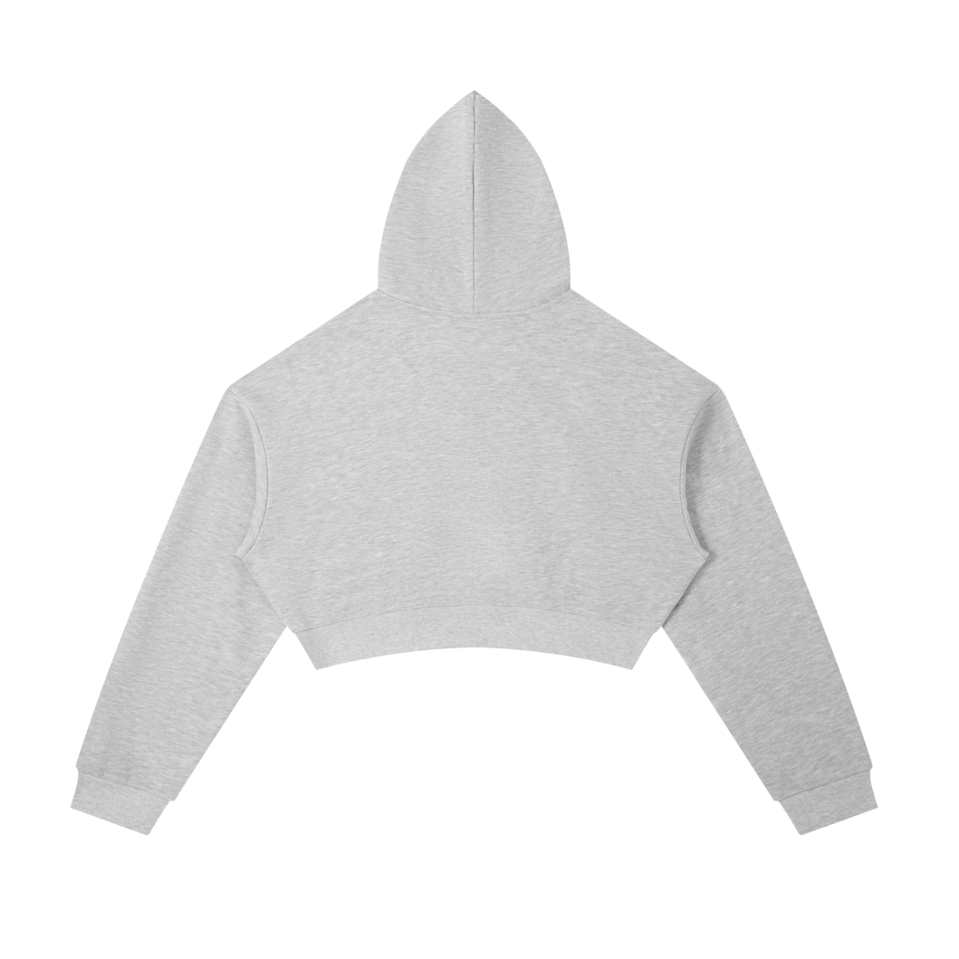 BLANKZ Essential Cropped Zip-Up Hoodie — Flower Gray, back view
