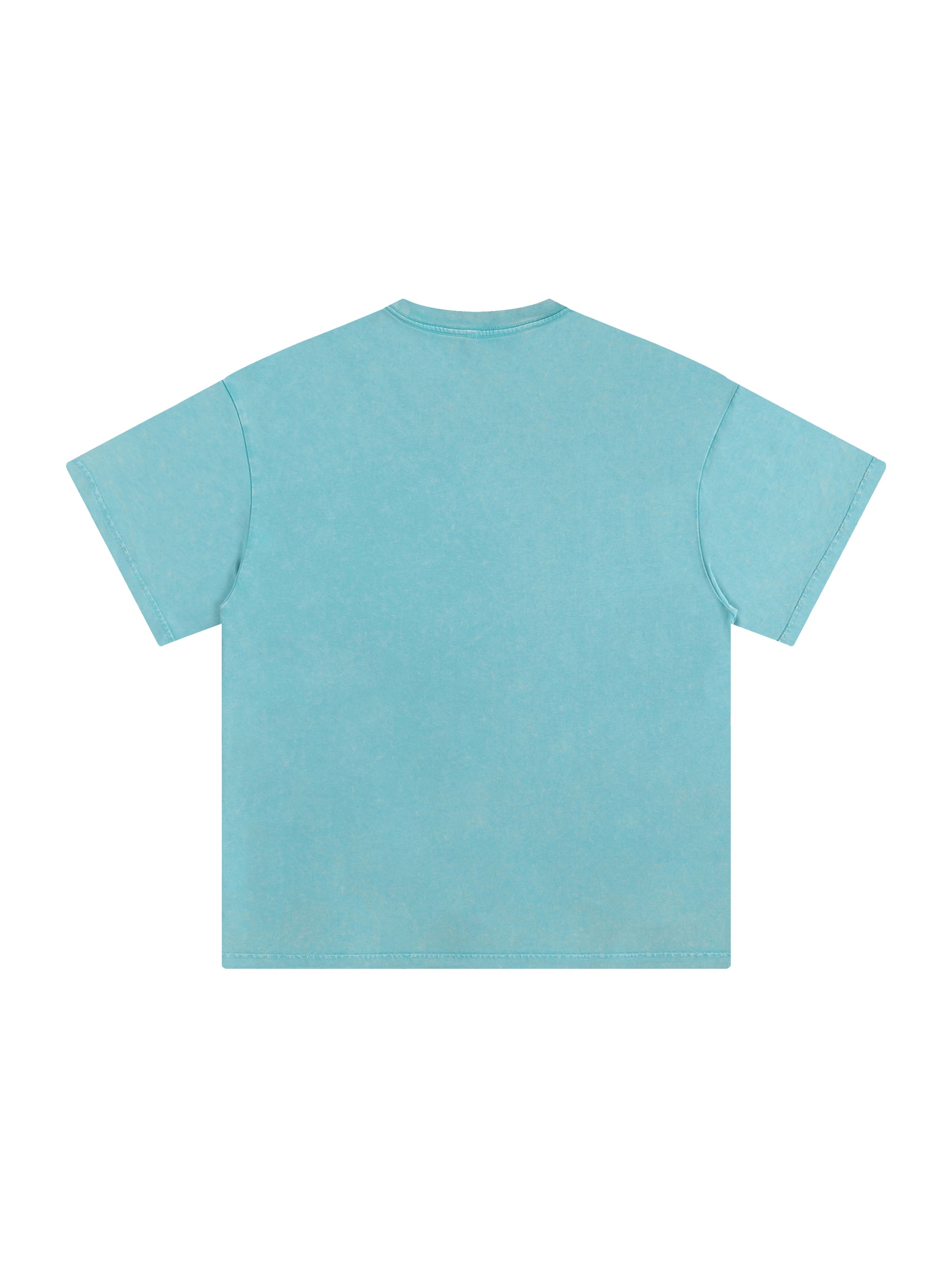 BLANKZ Snow Wash Cotton Tee — Acid Blue, back view