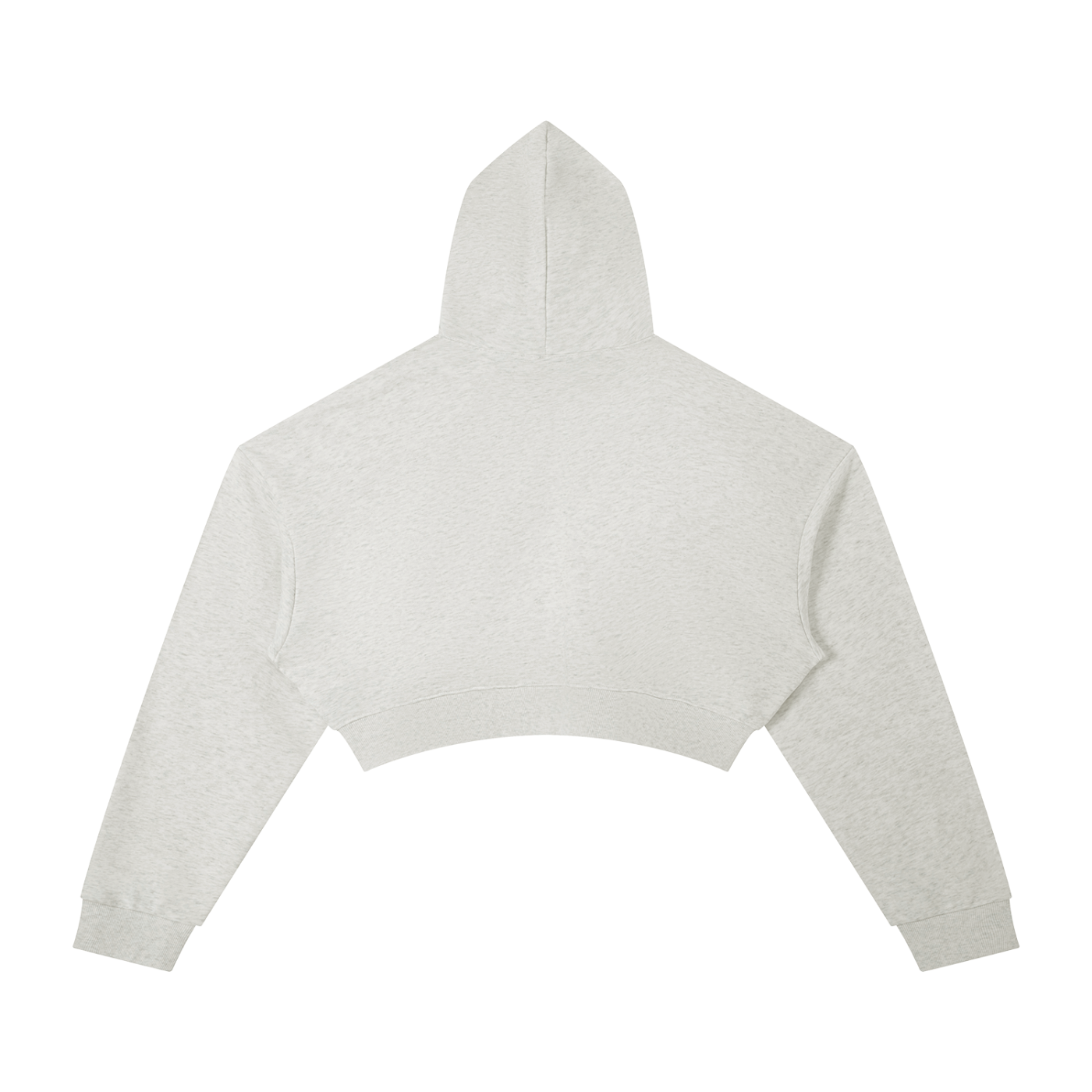 BLANKZ Essential Cropped Hoodie · 310 GSM — Oat Gray, back view